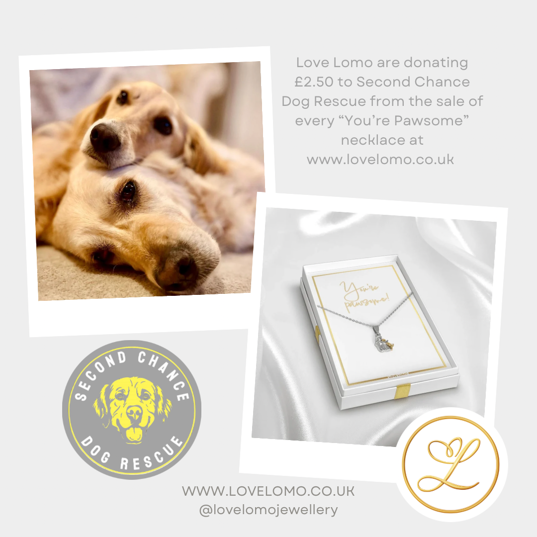 Charity “You’re Pawsome” Dog Hug necklace gift